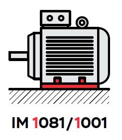 IM1 IM1